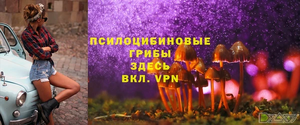 таблы Алексин