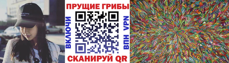 Галлюциногенные грибы прущие грибы Узловая